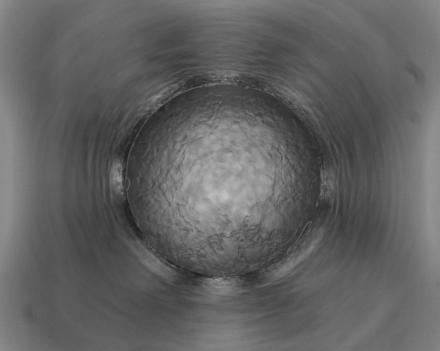X0000115090238200911101530