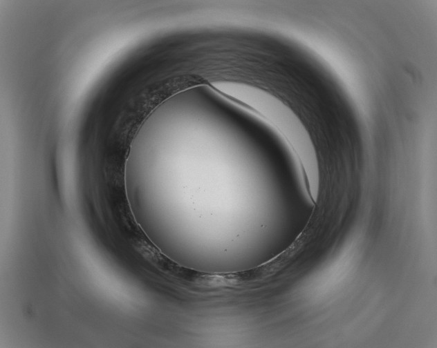 X0000115090239200911101530