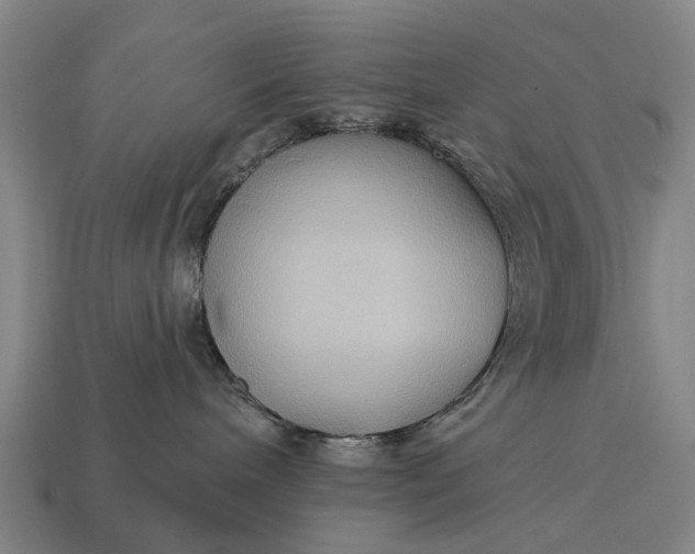 X0000115090240200911101530