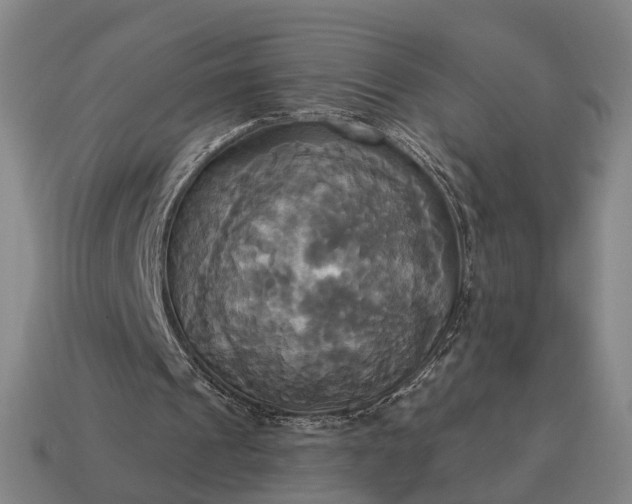 X0000115090241200911101530