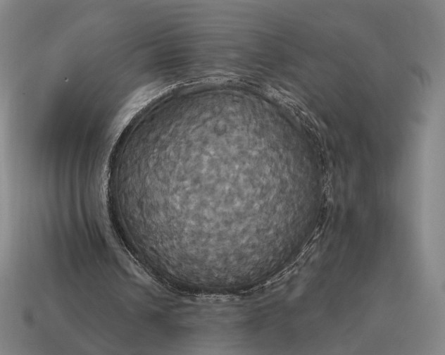 X0000115090242200911101530