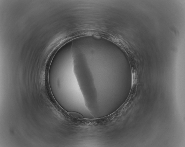 X0000115090243200911101530
