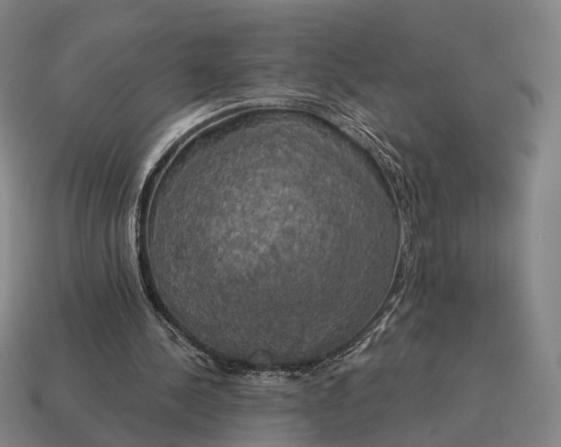 X0000115090244200911101530