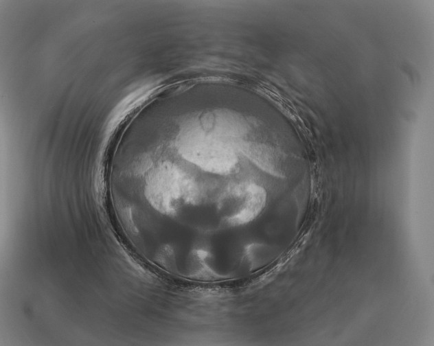 X0000115090245200911101530