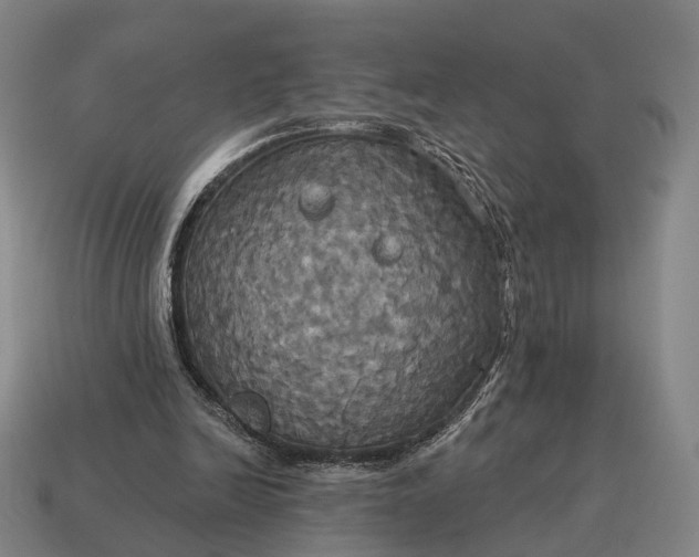 X0000115090246200911101530