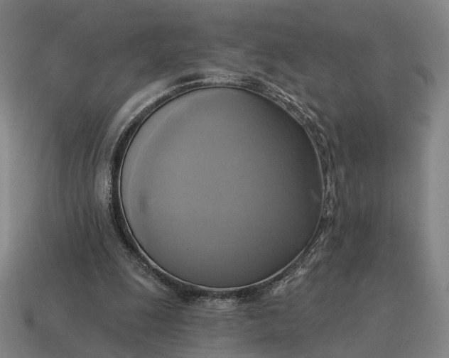 X0000115090247200911101530