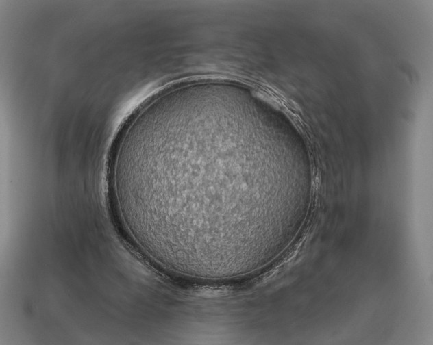 X0000115090248200911101530
