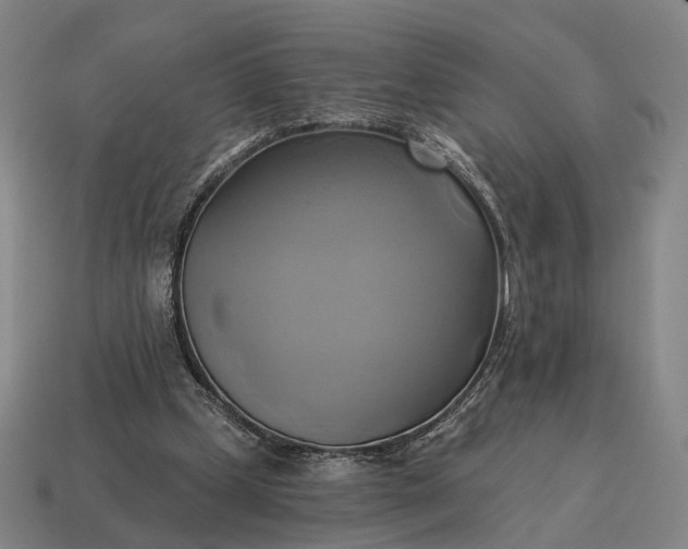 X0000115090249200911101530