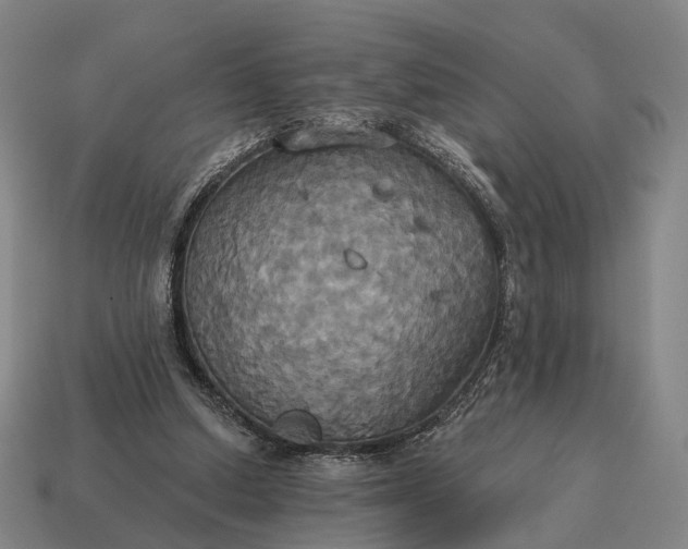 X0000115090250200911101530