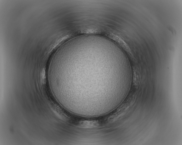 X0000115090251200911101530