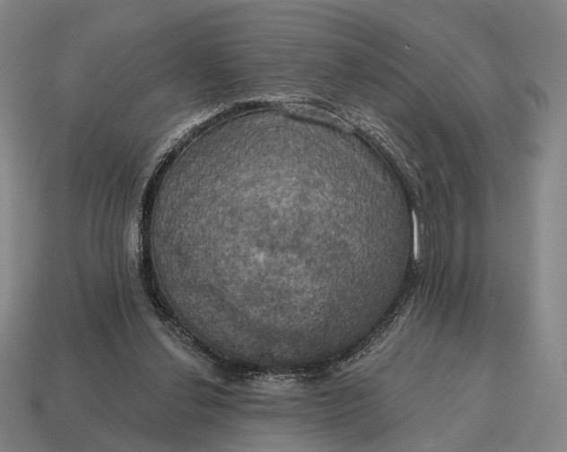 X0000115090252200911101530