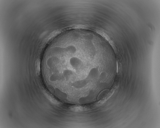 X0000115090253200911101530