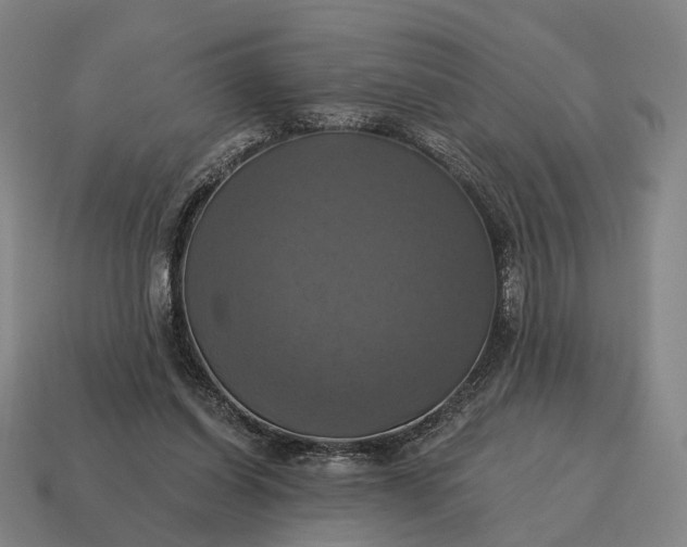 X0000115090254200911101530
