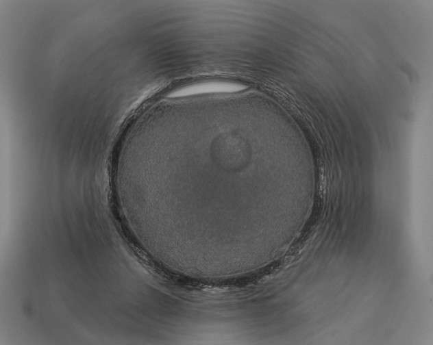 X0000115090256200911101530