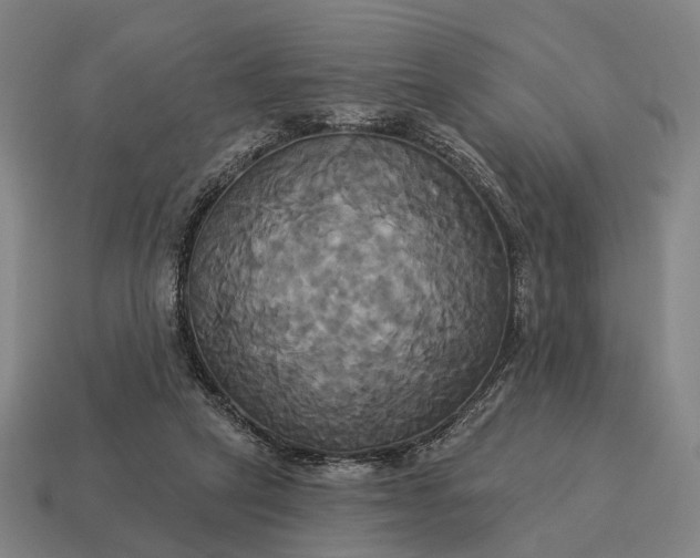 X0000115090257200911101530