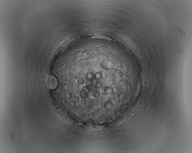 X0000115090258200911101530