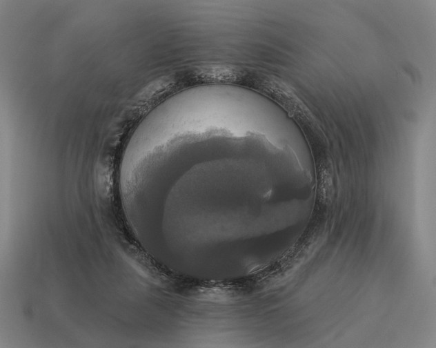 X0000115090259200911101530