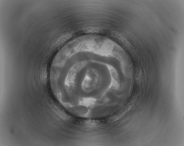 X0000115090261200911101530