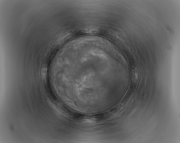 X0000115090263200911101530