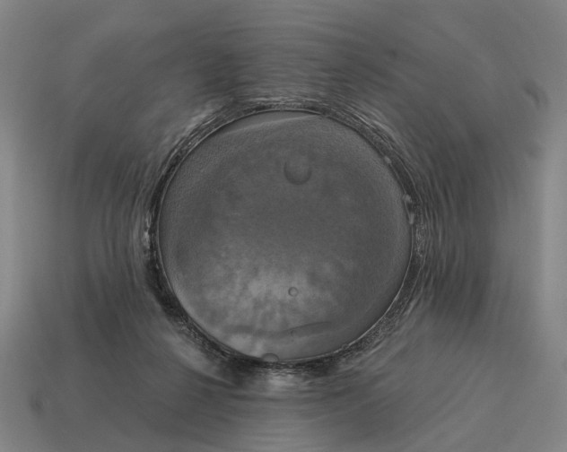 X0000115090264200911101530