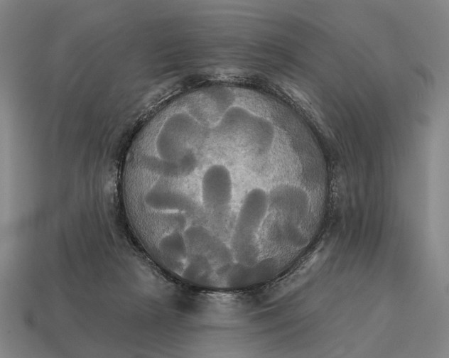X0000115090265200911101530