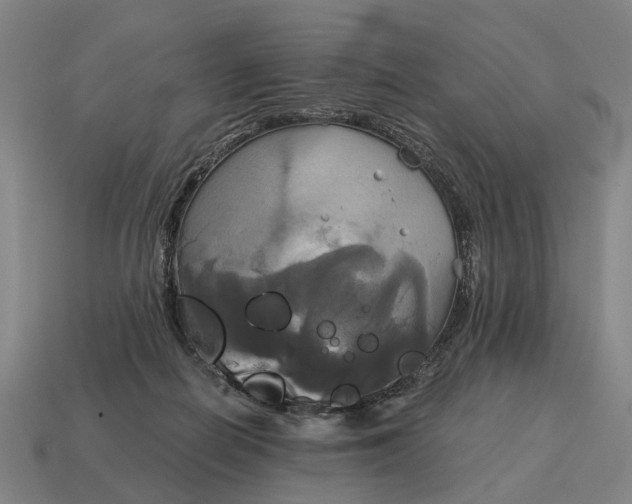 X0000115090266200911101530