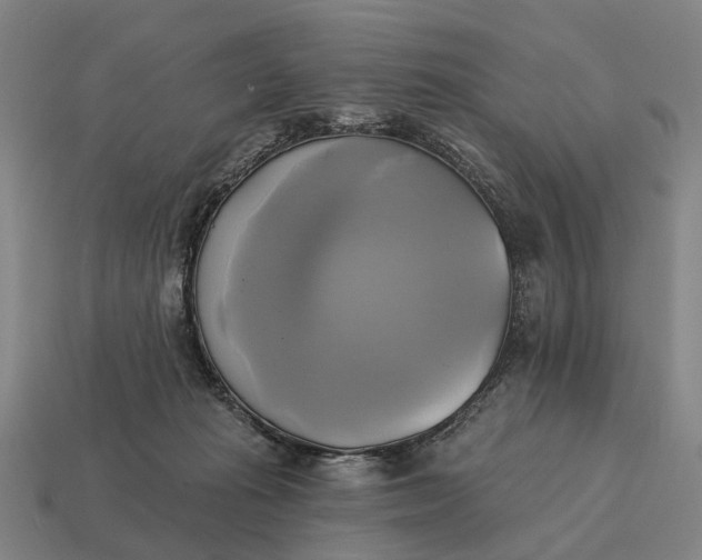 X0000115090269200911101530