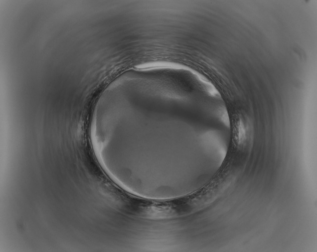 X0000115090270200911101530