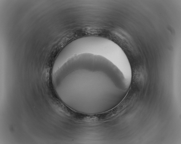X0000115090271200911101530