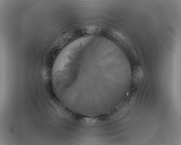 X0000115090272200911101530