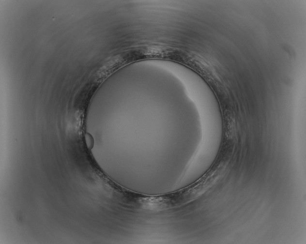 X0000115090273200911101530