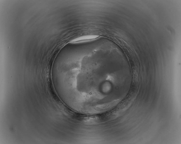 X0000115090274200911101530