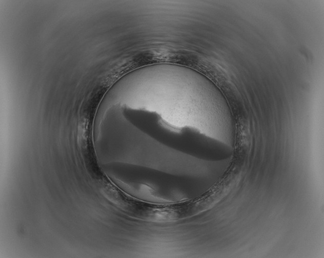X0000115090275200911101530