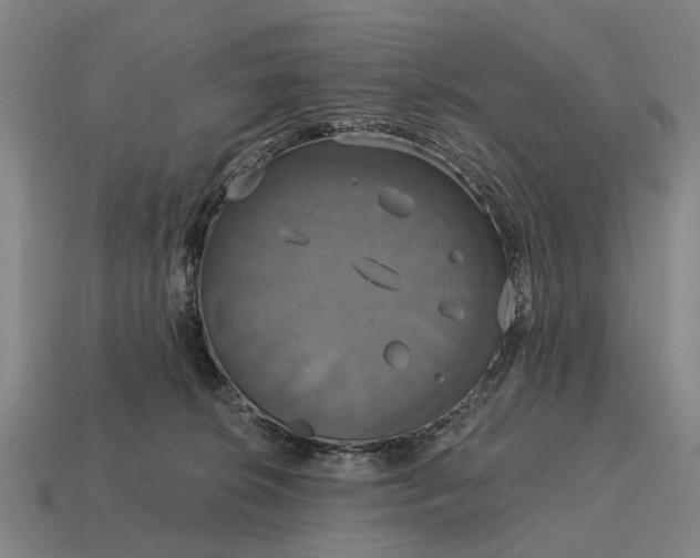 X0000115090276200911101530