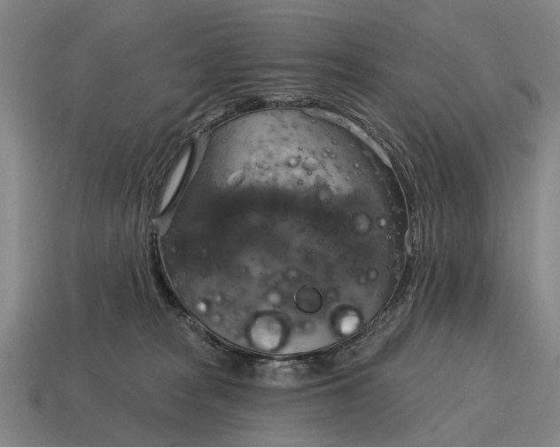 X0000115090277200911101530