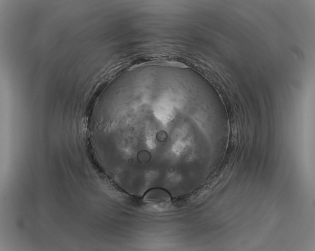 X0000115090278200911101530