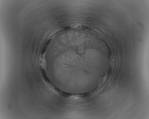 X0000115090280200911101530