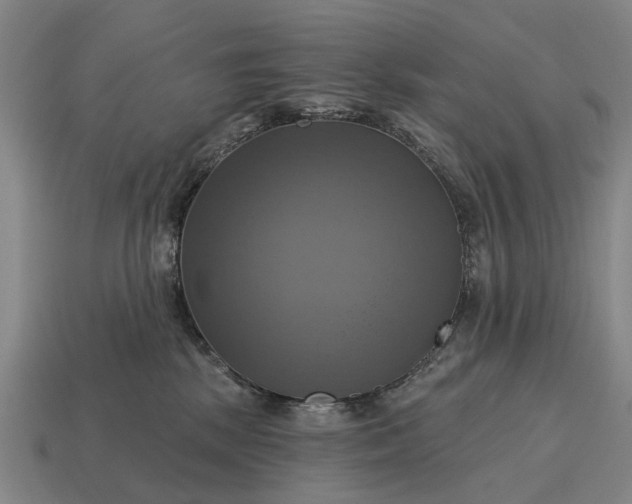 X0000115090281200911101530