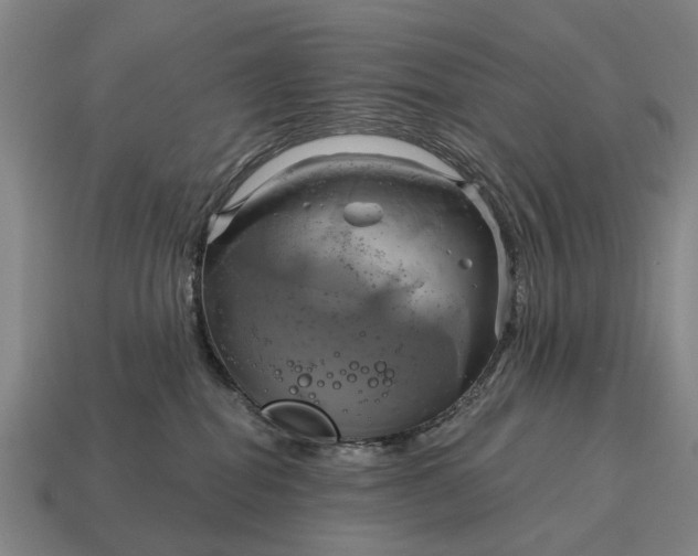 X0000115090282200911101530