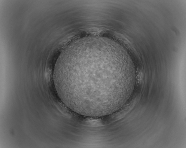 X0000115090283200911101530