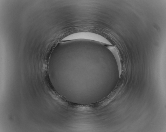 X0000115090284200911101530