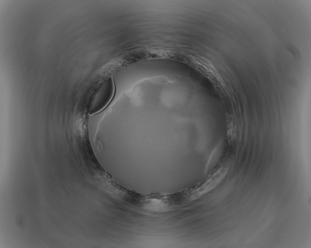 X0000115090285200911101530