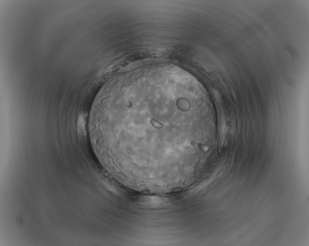 X0000115090286200911101530