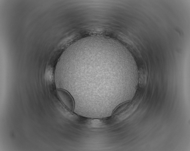X0000115090287200911101530