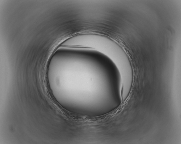 X0000115090289200911101530