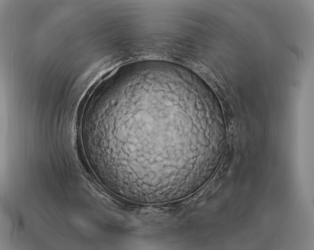 X0000115090290200911101530
