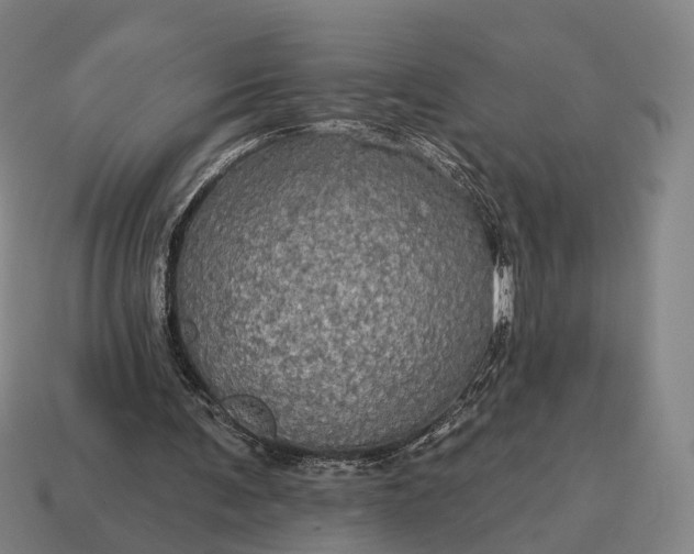 X0000115090291200911101530