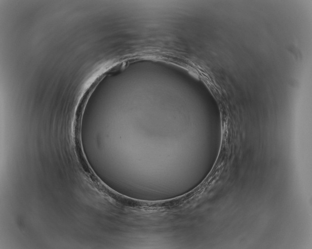 X0000115090292200911101530