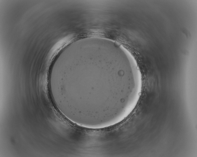 X0000115090293200911101529