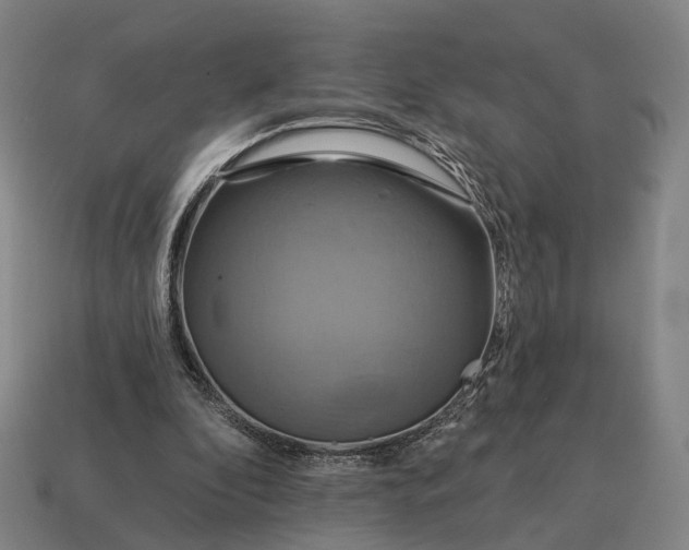 X0000115090296200911101529